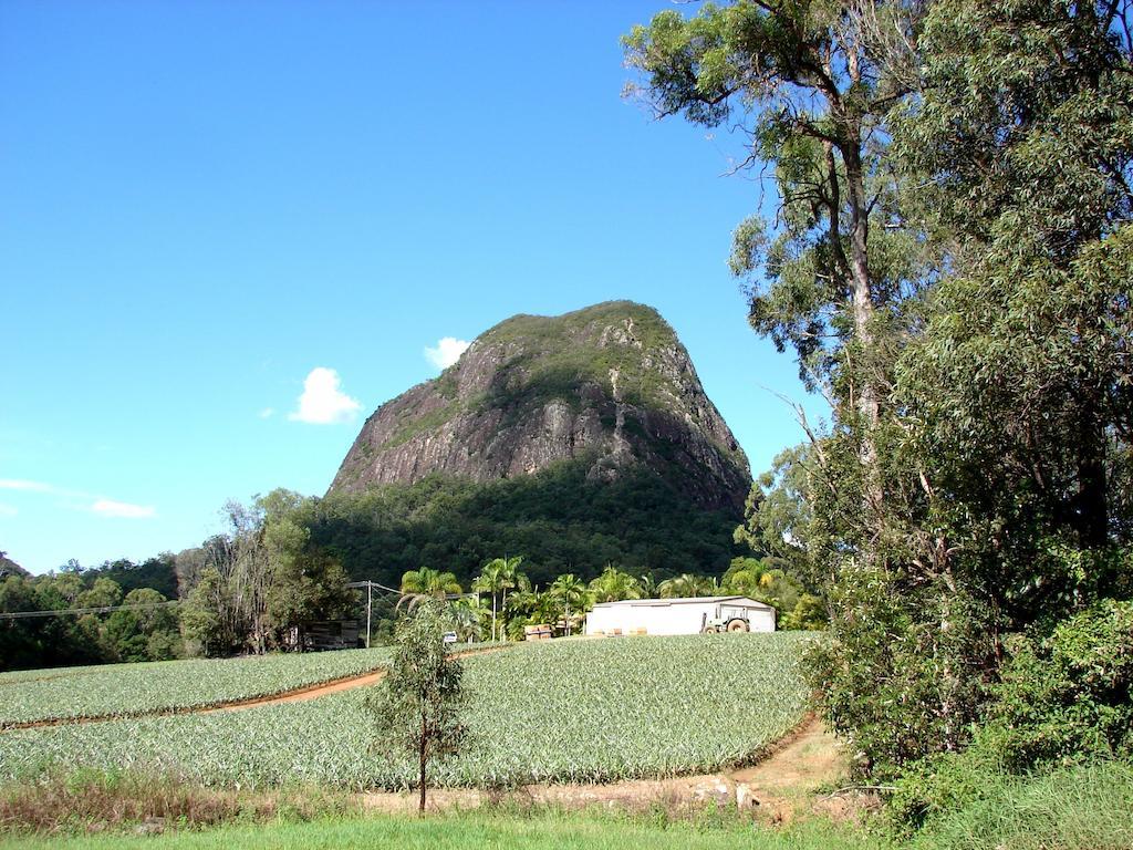 Glass House Mountains Ecolodge Eksteriør billede